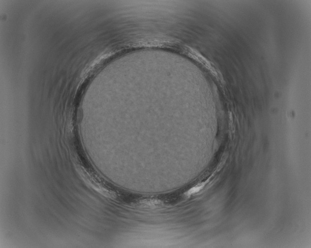 X0000062620203200601181703