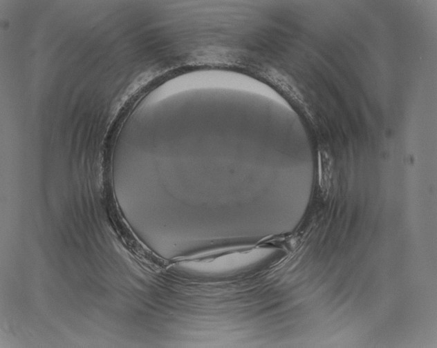 X0000062620204200601181703