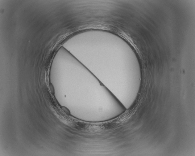 X0000062620205200601181703