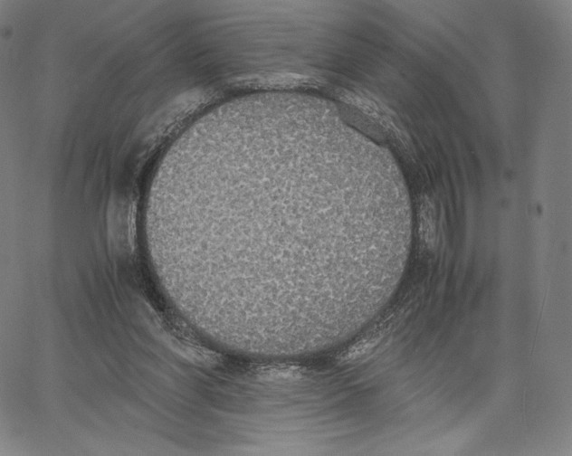 X0000062620206200601181703