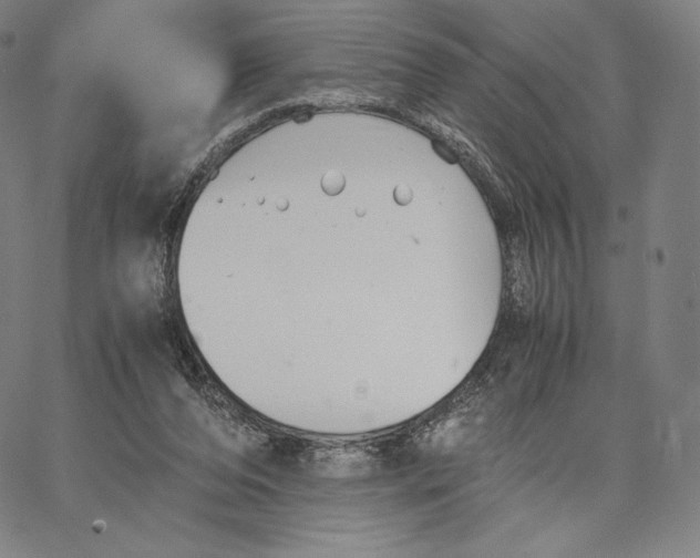 X0000062620208200601181703