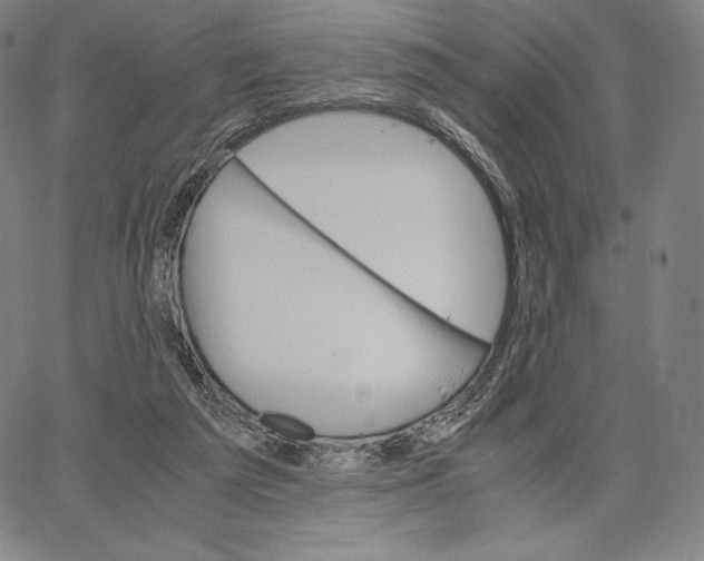 X0000062620209200601181703