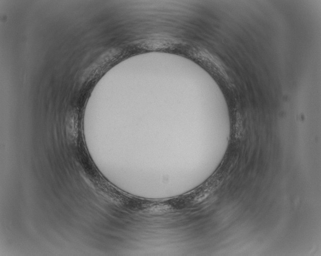 X0000062620210200601181703