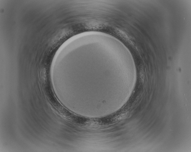 X0000062620211200601181703