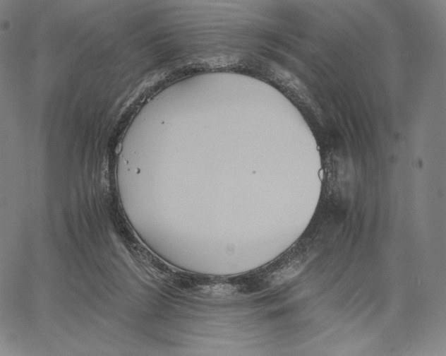 X0000062620212200601181703