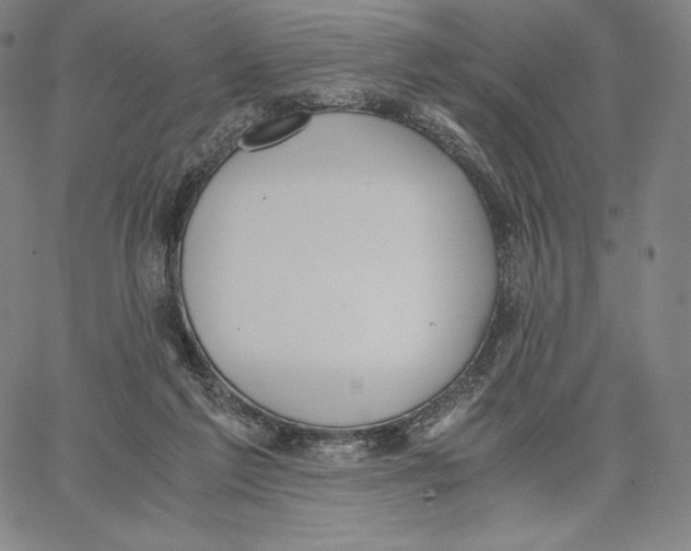 X0000062620213200601181703