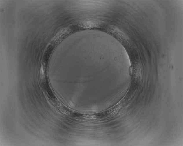 X0000062620214200601181703