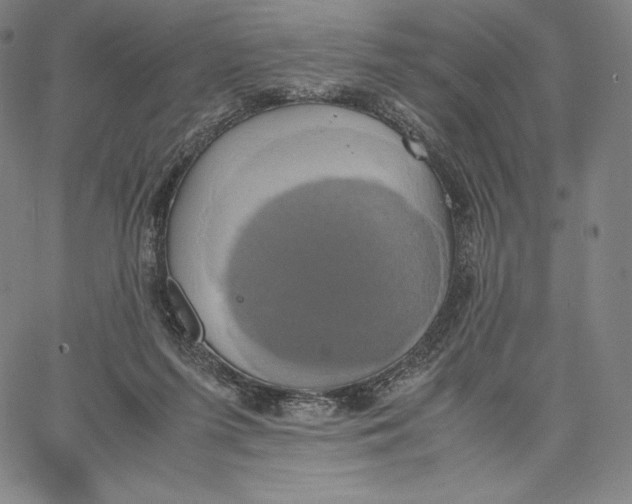 X0000062620215200601181703