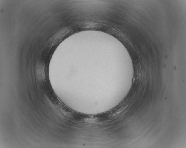 X0000062620216200601181703