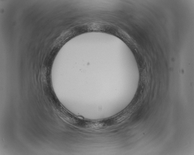 X0000062620217200601181703