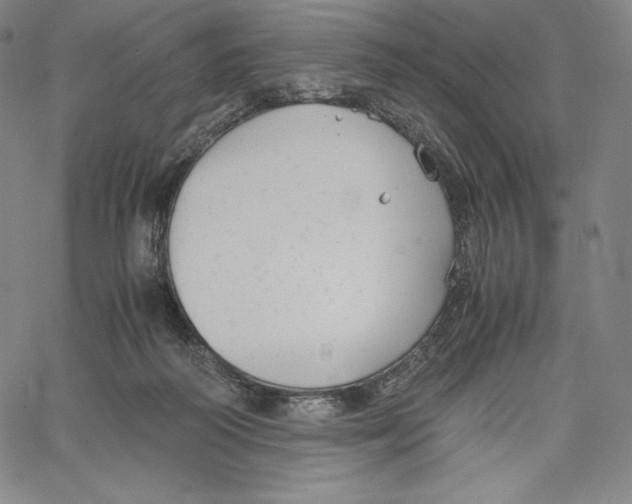 X0000062620218200601181703