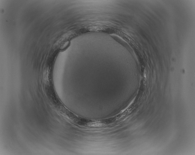 X0000062620219200601181703