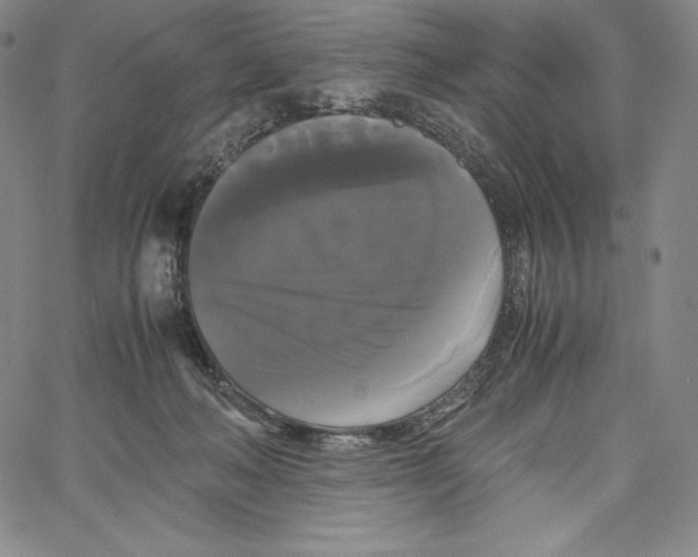 X0000062620222200601181703