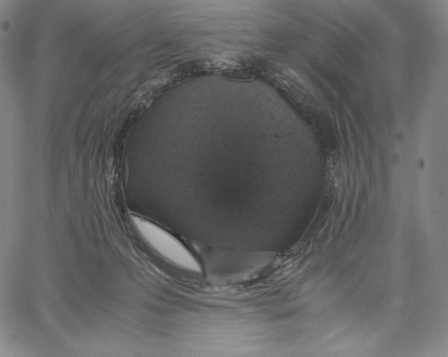 X0000062620223200601181703