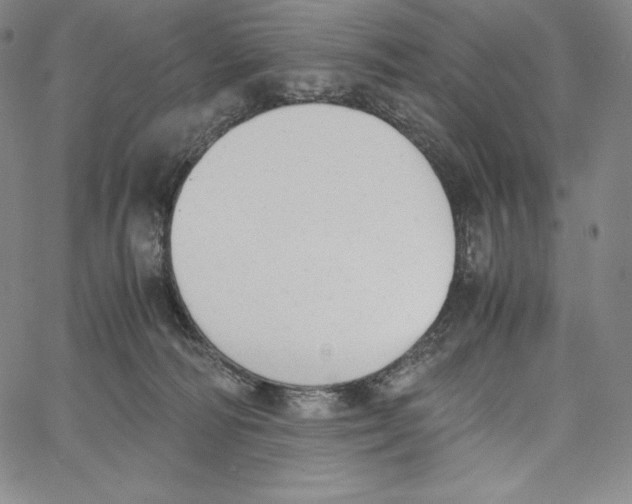 X0000062620226200601181703