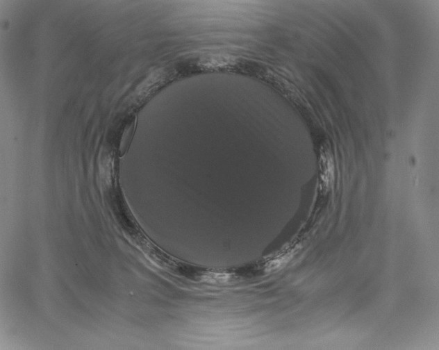 X0000062620227200601181702