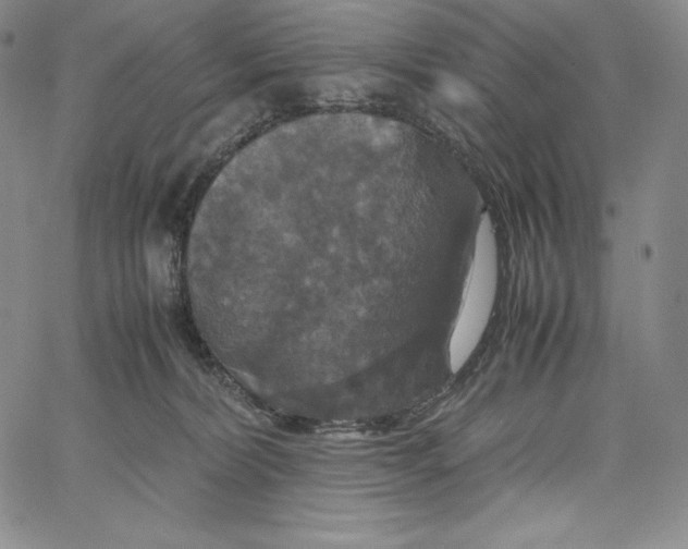 X0000062620228200601181702