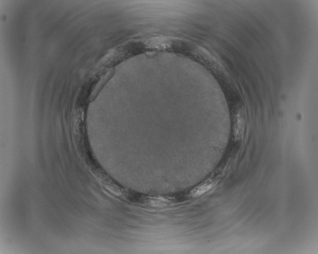 X0000062620229200601181702