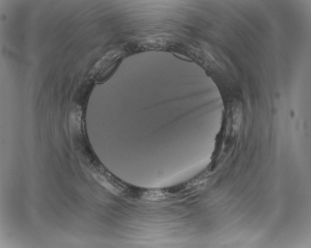 X0000062620231200601181702