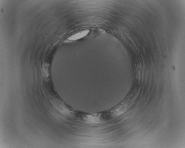 X0000062620232200601181702