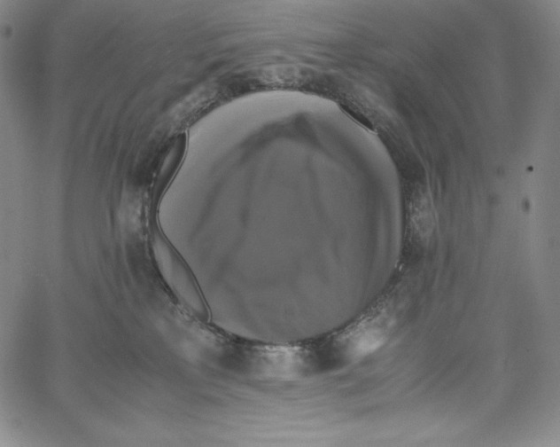 X0000062620233200601181702