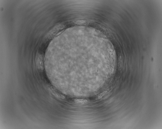 X0000062620234200601181702