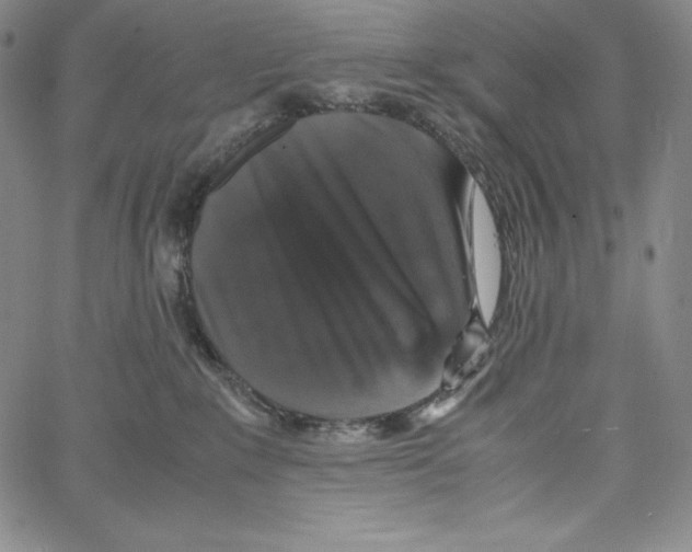 X0000062620235200601181702