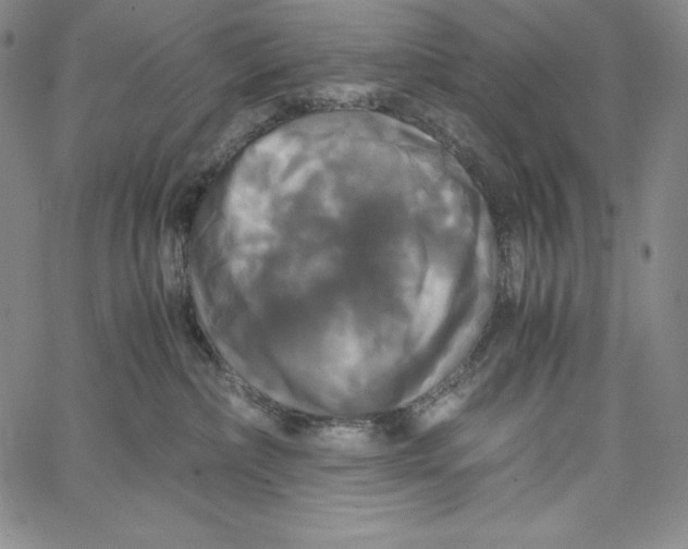 X0000062620236200601181702