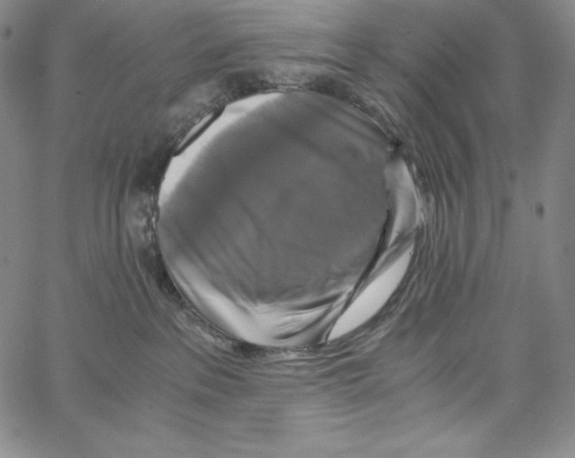 X0000062620237200601181702