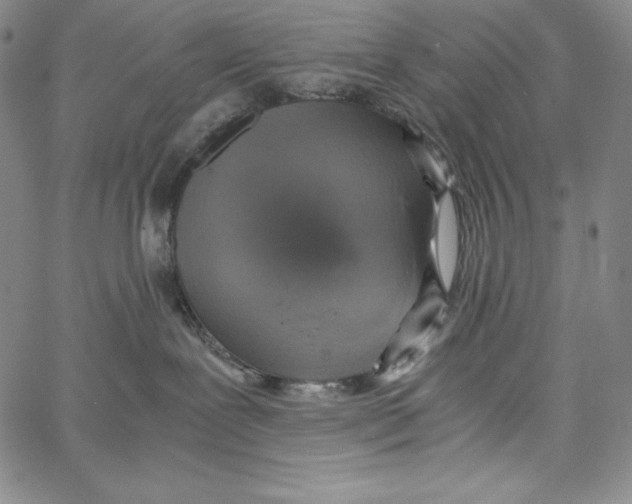 X0000062620239200601181702