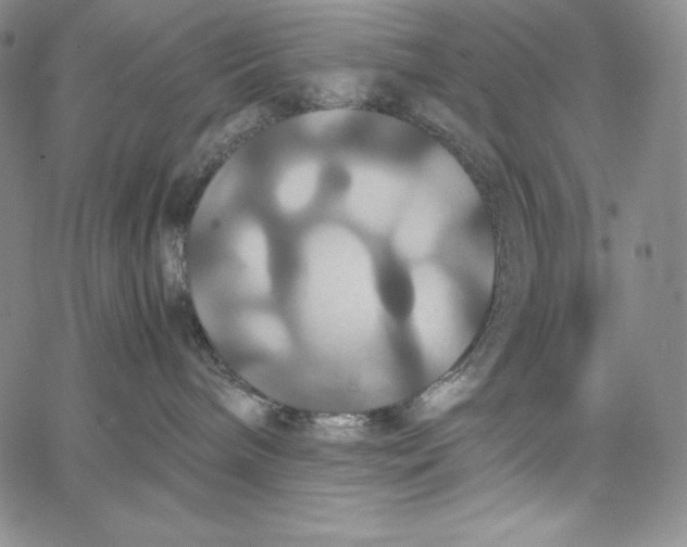 X0000062620240200601181702