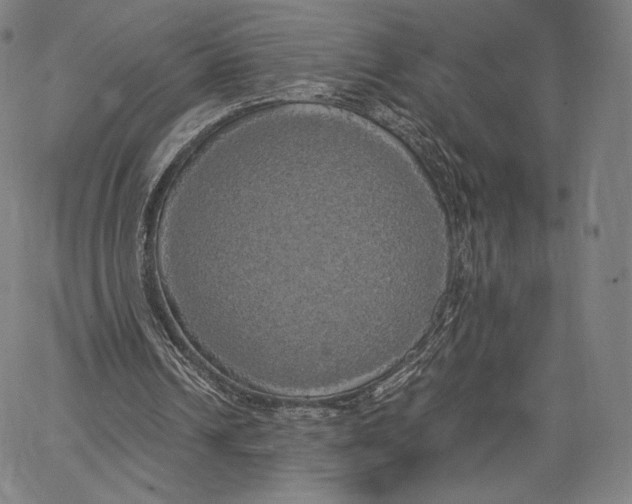 X0000062620242200601181702