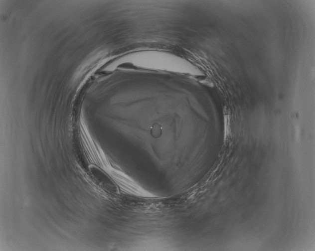 X0000062620243200601181702