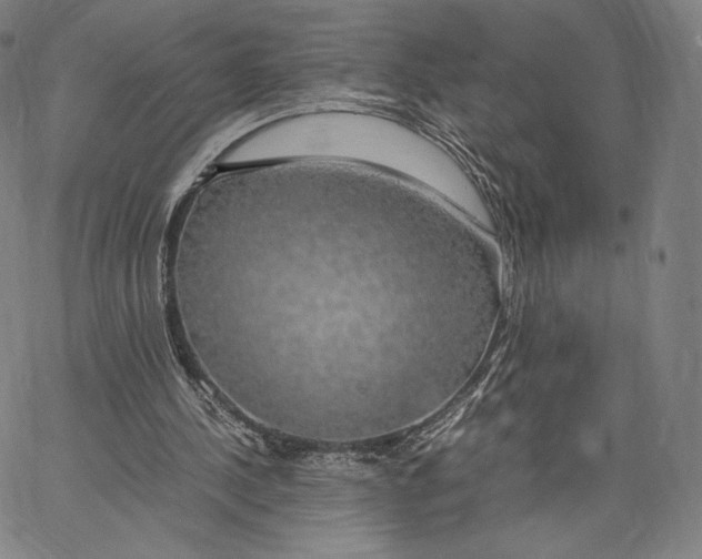 X0000062620244200601181702