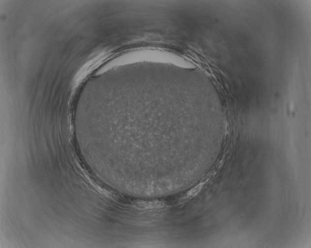 X0000062620245200601181702