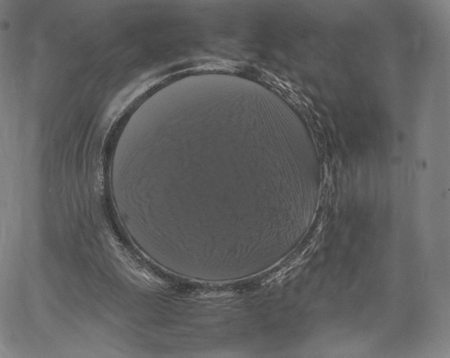 X0000062620247200601181702