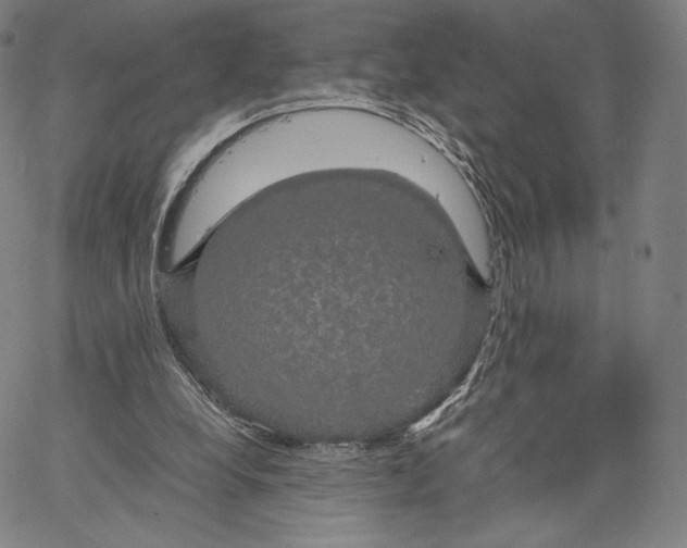 X0000062620248200601181702