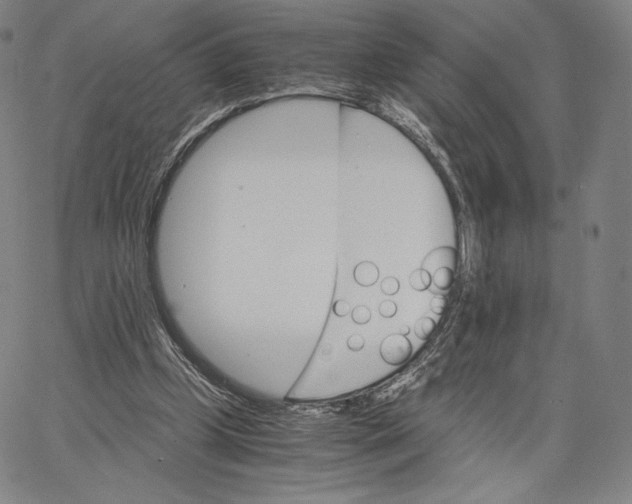 X0000062620249200601181702