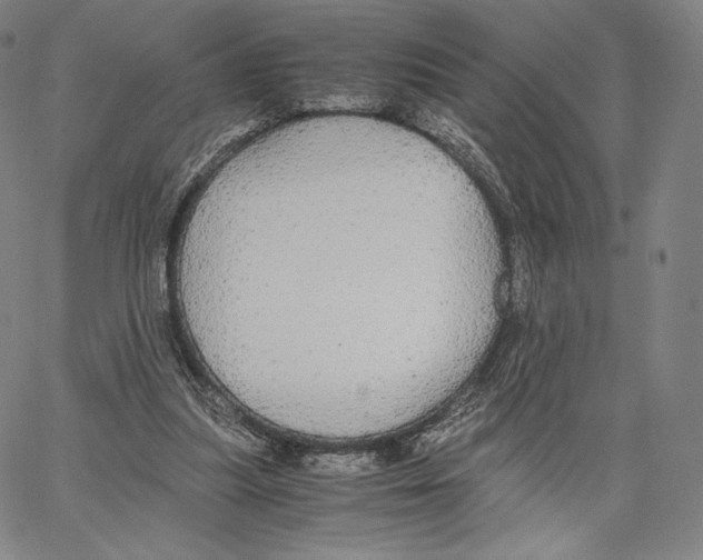 X0000062620251200601181702