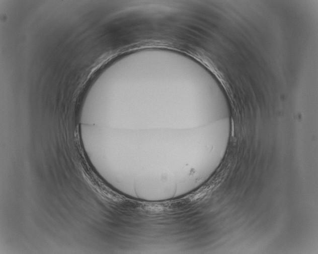 X0000062620253200601181702