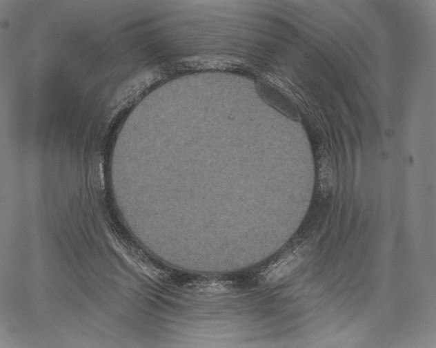 X0000062620254200601181702