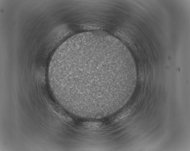 X0000062620255200601181702