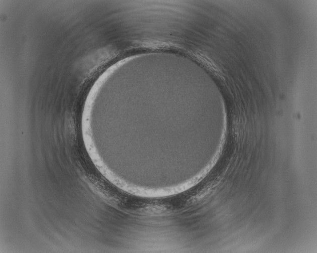 X0000062620256200601181702