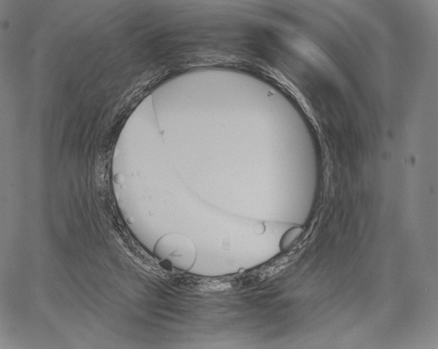 X0000062620257200601181702