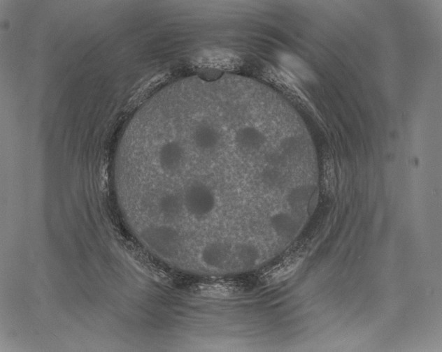 X0000062620259200601181702