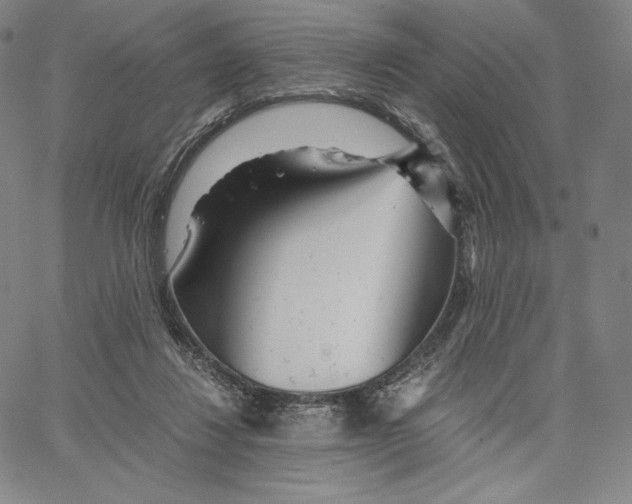 X0000062620260200601181702