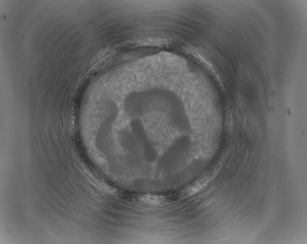 X0000062620261200601181702