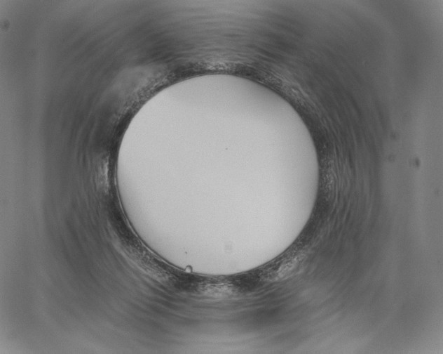 X0000062620262200601181702