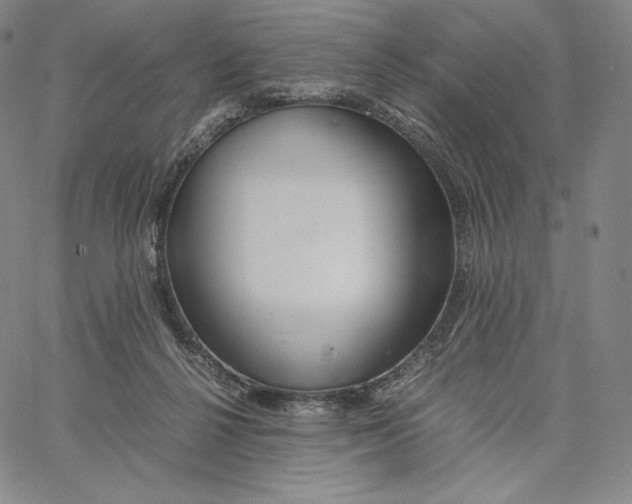 X0000062620264200601181702