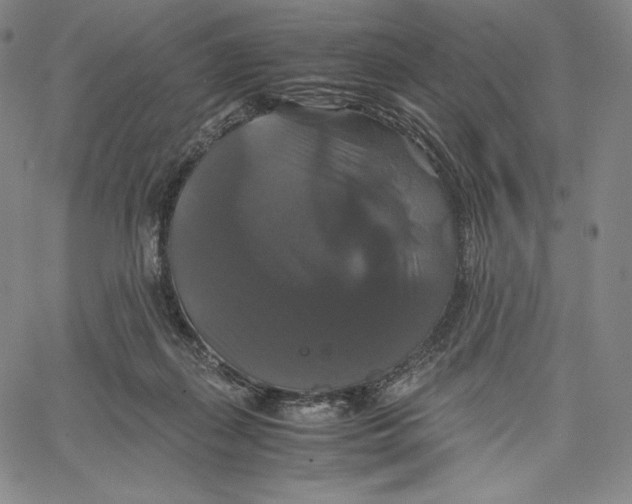 X0000062620267200601181702